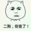 资深小白
