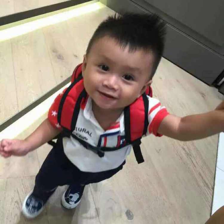 柯焙