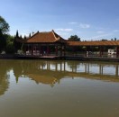 王大拿