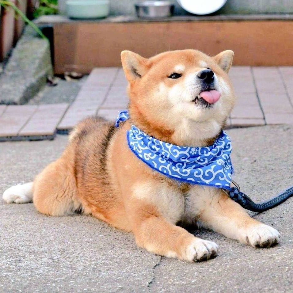其