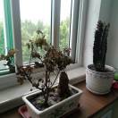 君的博客