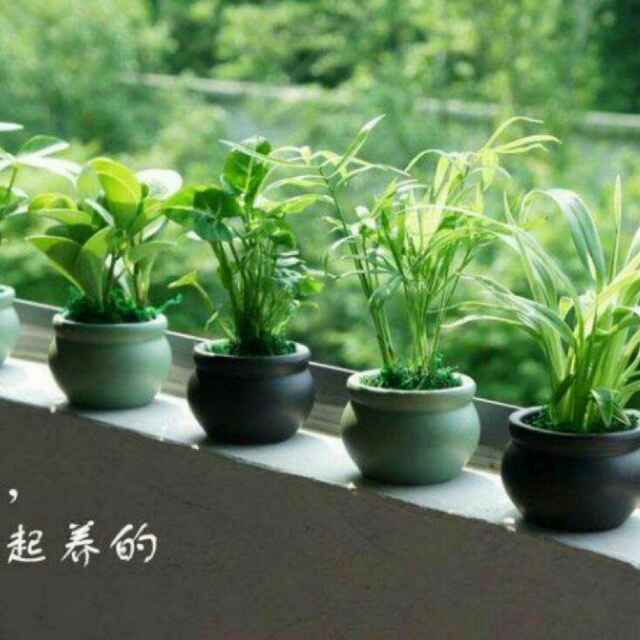 商江网络