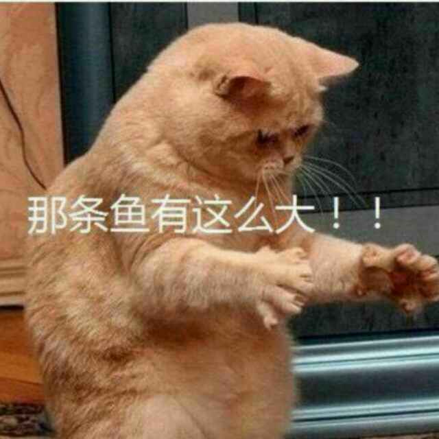 宋的博客