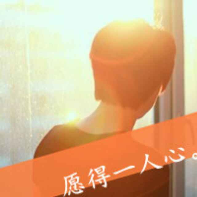 会飞的狼