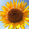 phpcn_u3170