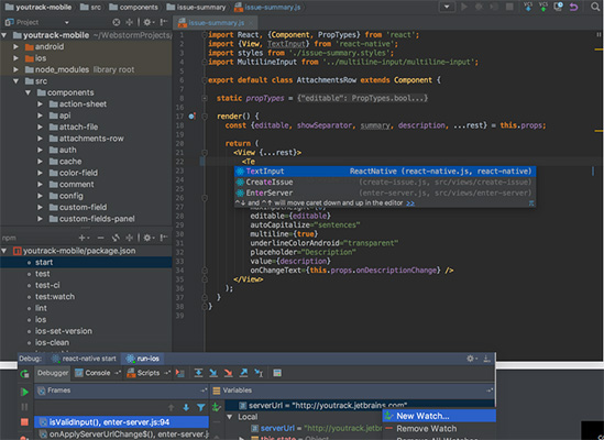 WebStorm
