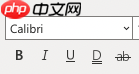 Excel格式化字体