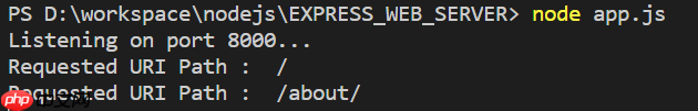 Express.js路由器终端日志