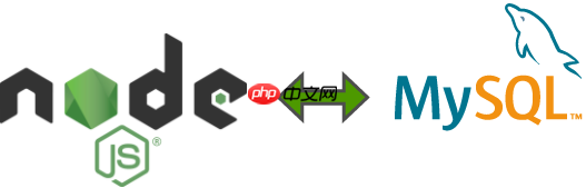 在Node.js中连接到MySQL数据库