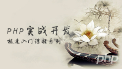 PHP实战开发极速入门： PHP快速创建[小型商业论坛]