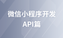 WeChat Mini Program Development API Chapter