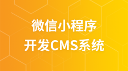 微信小程序开发CMS系统视频教程