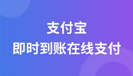 支付宝即时到账在线支付实战项目开发视频教程