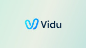 Vidu 模型映射资料
