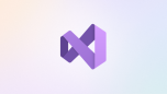 Visual Studio 企业部署手册