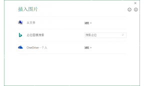Excel 插入图片窗口用于选择水印图片