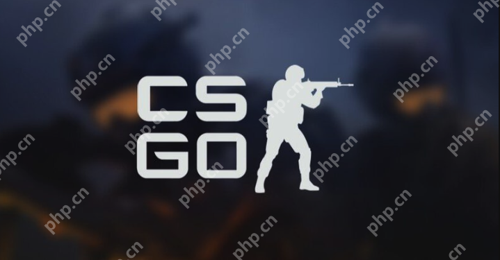 顶级csgo大片入口 顶级csgo高清无水印视频入口 - php中文网