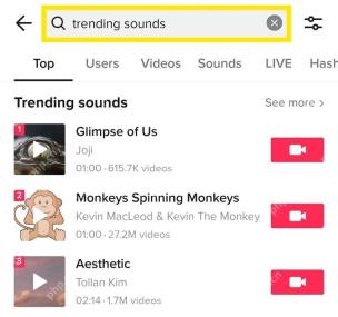 TikTok APP 热门声音列表界面