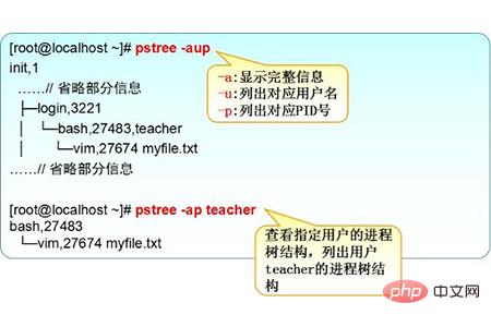 linux如何查看進程命令