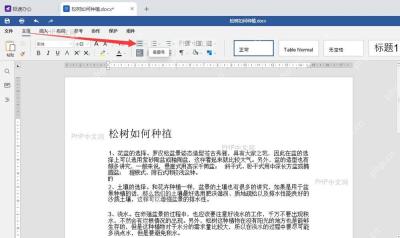 Microsoft Word 文档编辑区中一段中文文字被选中,用于添加着重号的第一步