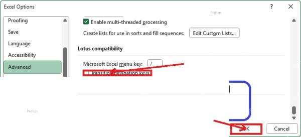 真实 Excel Options Advanced 页面取消 Transition navigation keys 并点击 OK,用于第四步保存设置