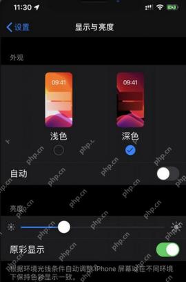 iPhone 显示与亮度页面已经选中深色外观,深色选项下出现蓝色勾选标记