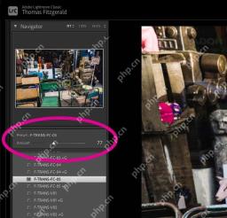 Lightroom Classic Windows 版英文界面预设数量滑块设为77,展示预设强度调整位置