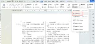 Word文档编辑界面,显示已选中的多段文字,光标在选区末端