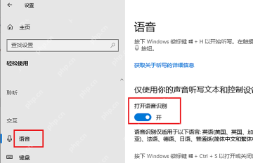Win10 语音页面中打开语音识别的开关区域