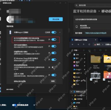 Windows 11 设置移动设备管理页查看已连接手机权限