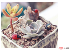 1633938509682633.png HTML로 그림을 표시하는 방법