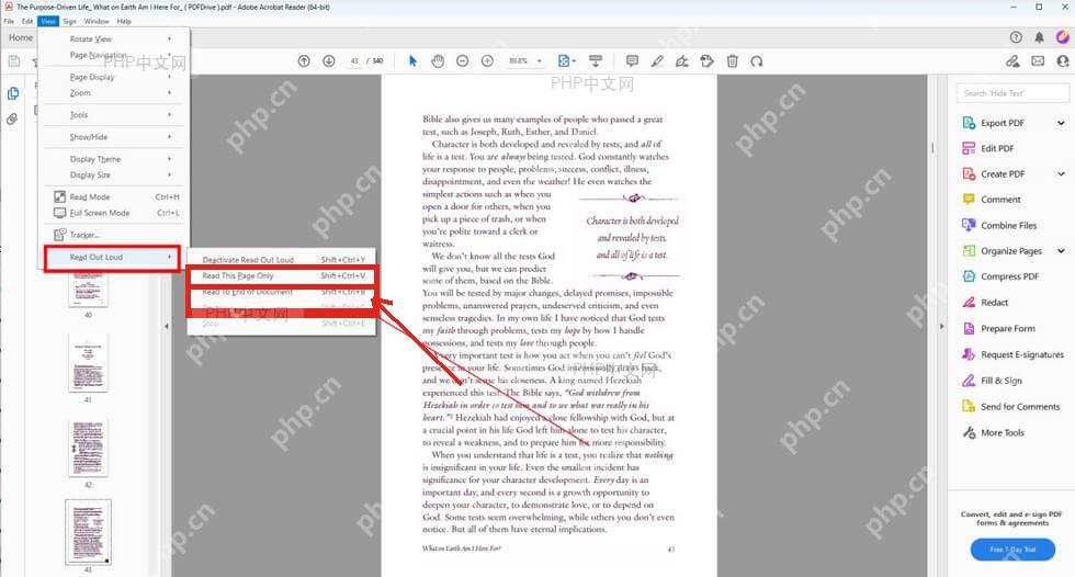 Acrobat Reader 朗读全文子菜单中的只读本页和朗读到文档结尾入口用于播放全文