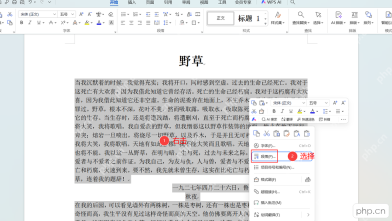 WPS文字中选中需要设置首行缩进的正文段落