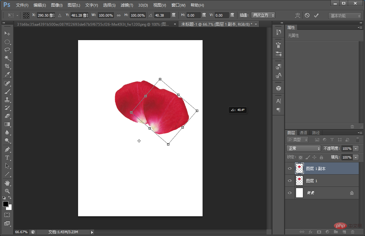 Beginners article: Use PS spiral to create petal effects (share)