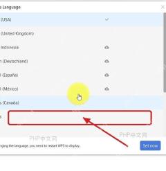 WPS Choose Language 窗口中选择目标界面语言