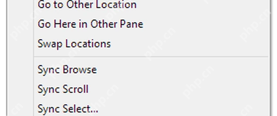 XYplorer Panes 菜单中的 Sync Browse 和 Sync Select