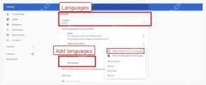 Chrome 设置页中的 Languages 语言设置区域