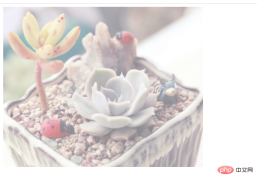 1633934003404226.png So stellen Sie die Transparenz von HTML-Bildern ein