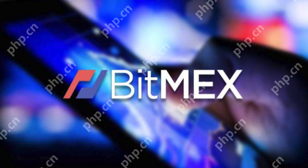 BitMEX交易费贵吗 - php中文网