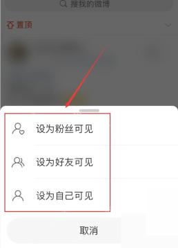 微博分享范围页里的可见范围列表