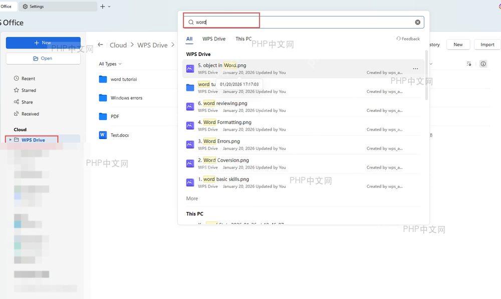 手机WPS App账号登录界面