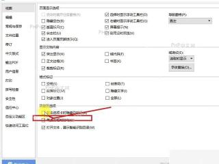 WPS 视图设置中的打开文件展示智能识别目录复选框,取消勾选后保存