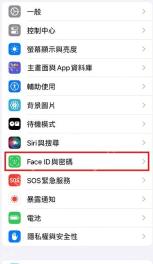 iPhone 设置页面中 Face ID 与密码入口被标出,对应简体中文的面容 ID 与密码