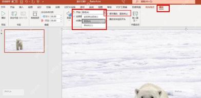 PowerPoint 播放选项卡中开始下拉框选择自动,服务于设置视频自动播放步骤