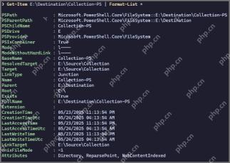 用 PowerShell 核对 LinkType 与 Target