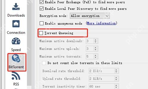 qBittorrent BitTorrent 页面 Torrent Queueing 队列设置区域