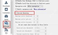 qBittorrent BitTorrent 页面 Torrent Queueing 队列设置区域