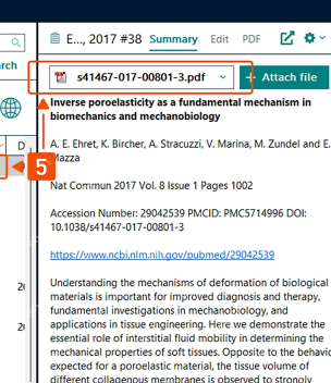 EndNote 21 提取 PDF 参考信息后在 Summary 和 PDF 区检查识别结果
