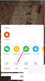 收藏成功后进入个人主页收藏入口核对视频