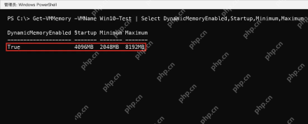 Win10 PowerShell 查看 DynamicMemoryEnabled 为 True